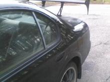 Rear Shot