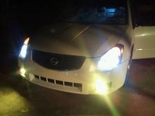 yellow fogs