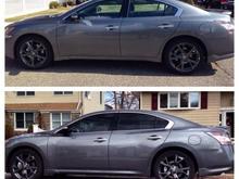 Tints comparison