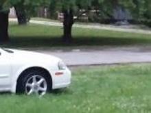 Totaled 2001 Max SE and the new kid 2003 Max SE