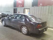 maxima8