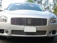 second mod:  t-rex upper and lower billet grilles