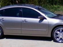 In the Driveway Chillin