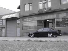 IMG 0781