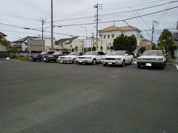 仲間のマキシマです。