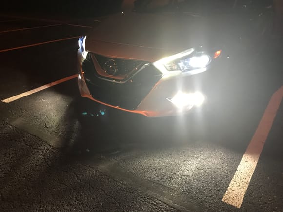 Enlight HIDS and LEDS