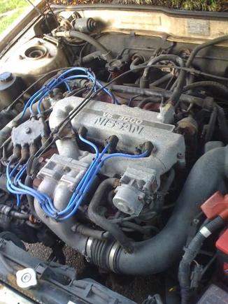 my 3.0L v6 with 8mm NGK wires i put on it ...to get it to run along with a starter and yes that is grass lol car has not been moved in 5 years thats how i got it but it was free so idc lol