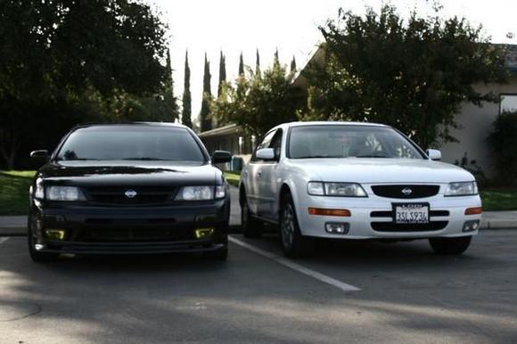 2 maximas, white one is adamphams