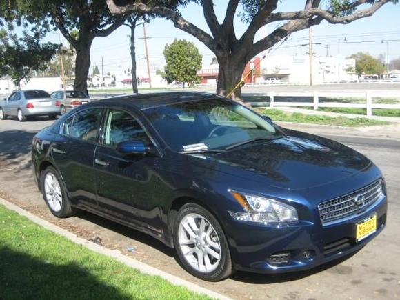 My New Maxima 2010