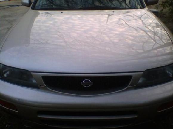Squeaky clean!