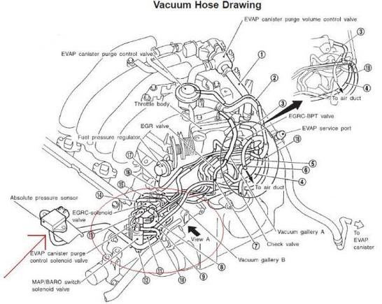 Vaccum Hoses