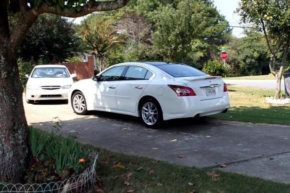 2010 Max &amp; 2001 Altima