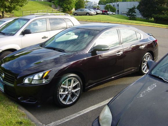 Maxima1