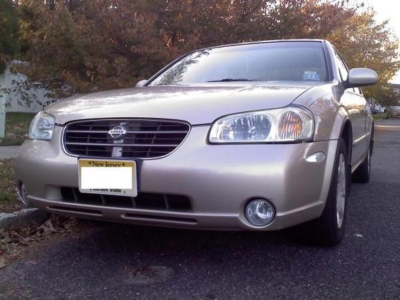 New Fogs