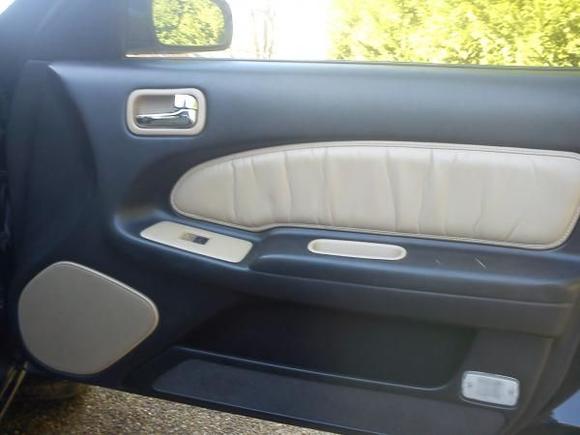 Custom door panels