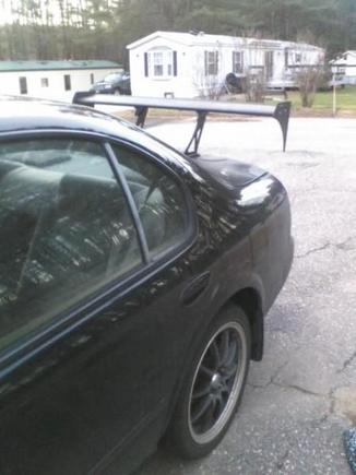 Rear Shot
