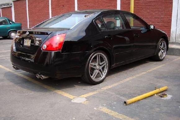 maxima