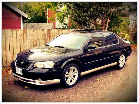 anniversary edition 5spd