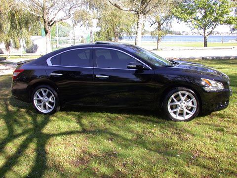 03 - 20% tint