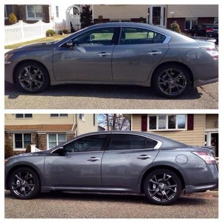 Tints comparison