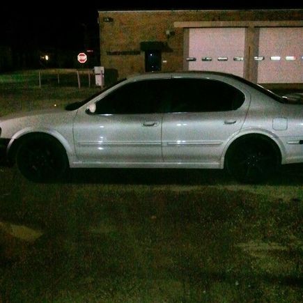 my bitch