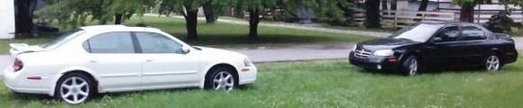 Totaled 2001 Max SE and the new kid 2003 Max SE