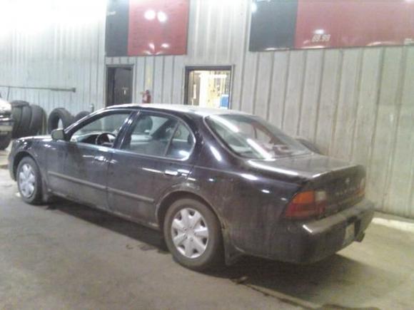 maxima8