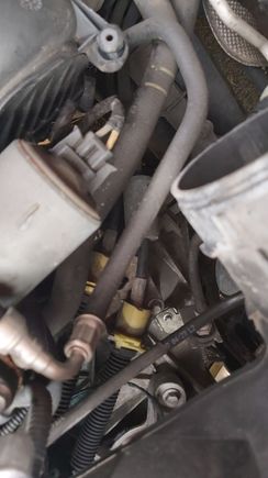 Right side of engine bay 