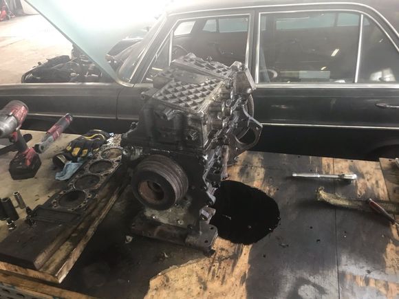 OGS Rebuild