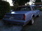 My 84 CL