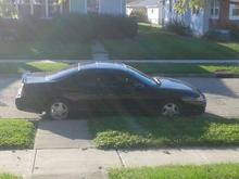 Black Beauty