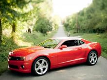 The SS