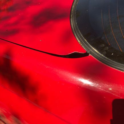 The trunk is bent from a wind storm that broke the hydraulics