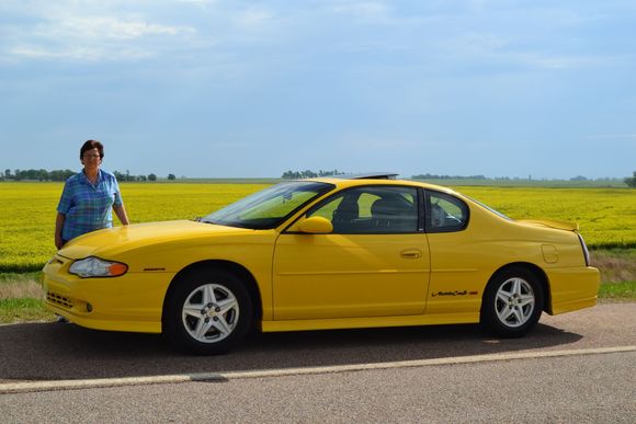 Nice canola backdrop.
