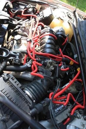 New wire covers