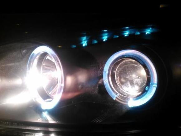 halos lit