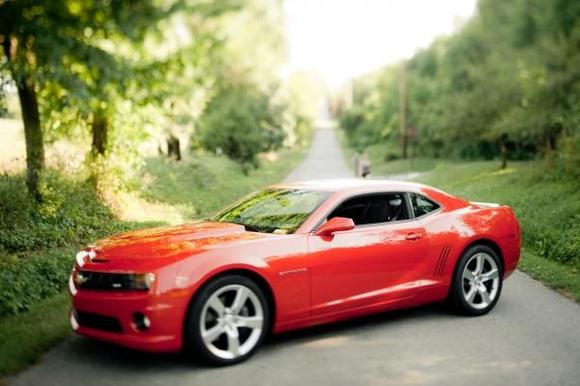 The SS
