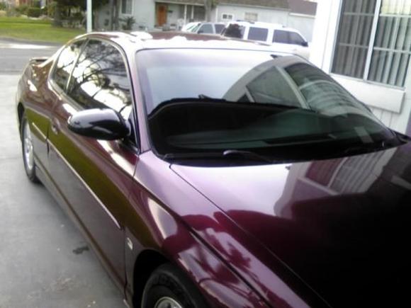 New Tint
