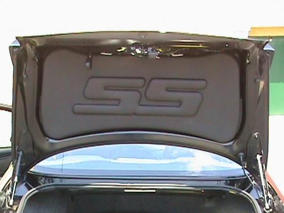 Picture 464 CUSTOM SS TRUNK LINER