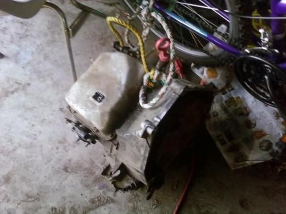 $50 replacement trany