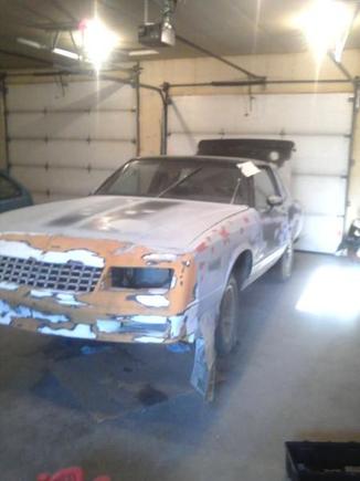 the future looks sweet