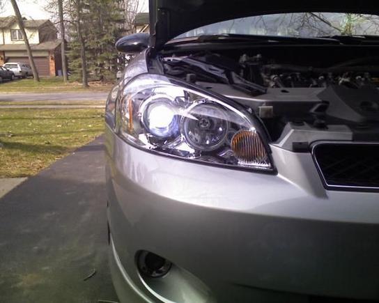 Projectors when i put my HIDs in