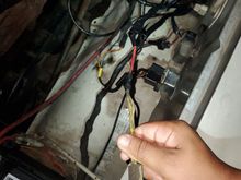 My Post Pictures
