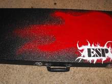 You gotta have a custom case to go with a custom guitar.