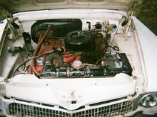 day i bought her
