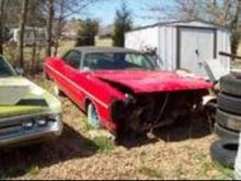 Patiently waiting to be resurrected