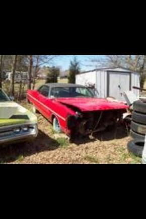 Patiently waiting to be resurrected