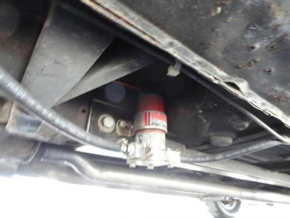 902831 10200980503578598 55262739 o