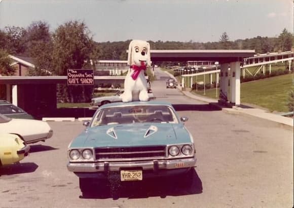 Honeymoon in Florida circa 1976