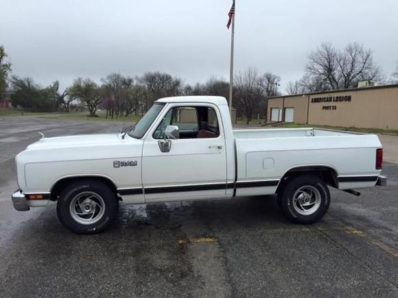 229083 10208874231114735 1503083887209827597 n (1)